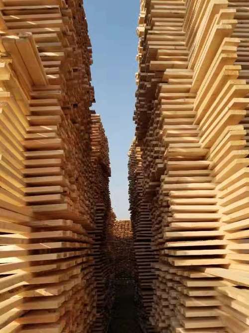 竹模板,建筑木方口料,装潢木方,板材,原木生产销售于一体的木业公司